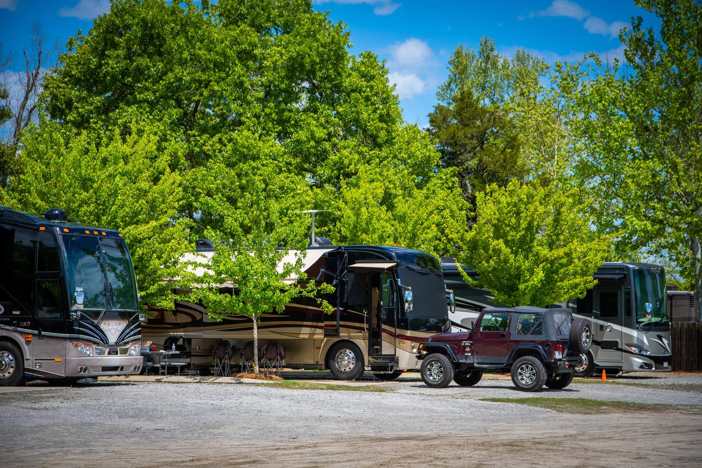 A bright spring canopy of trees over a lane of motorcoaches at Heritage RV Park